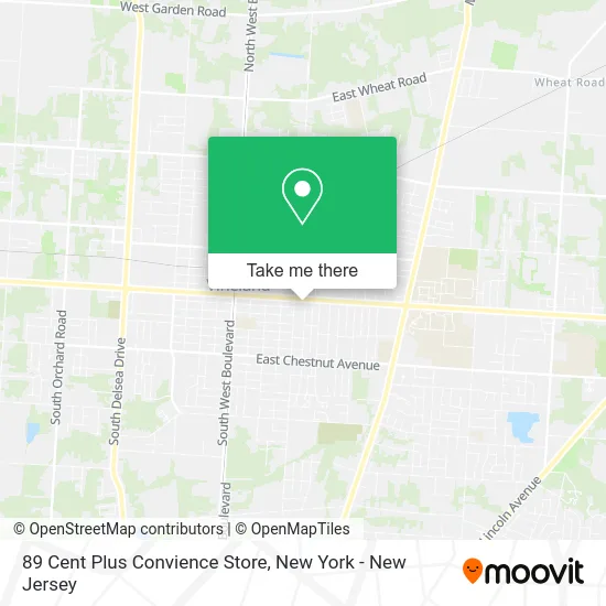 89 Cent Plus Convience Store map