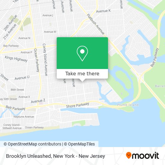 Brooklyn Unleashed map