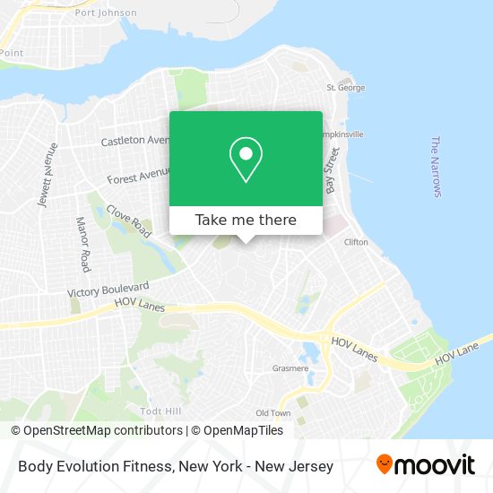 Body Evolution Fitness map