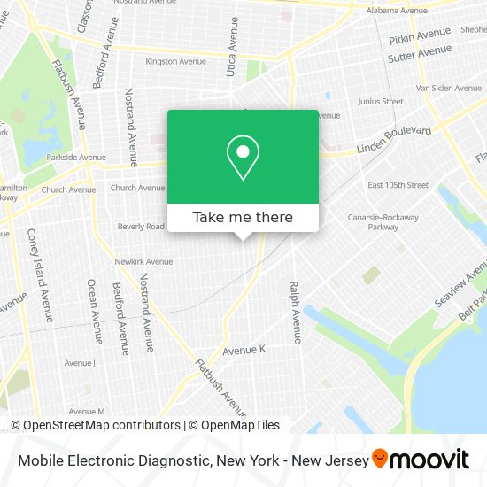 Mobile Electronic Diagnostic map