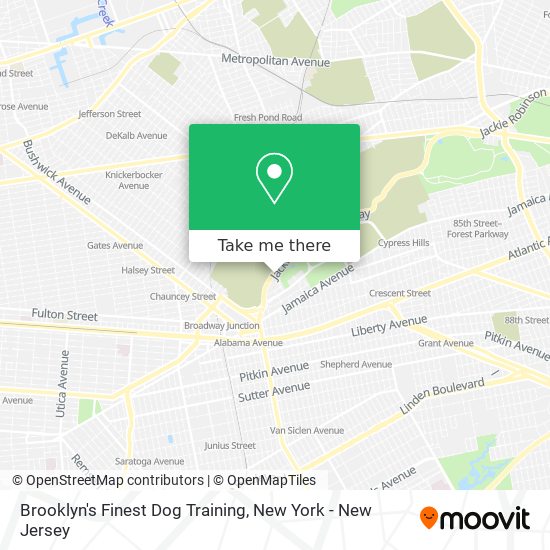 Brooklyn's Finest Dog Training map