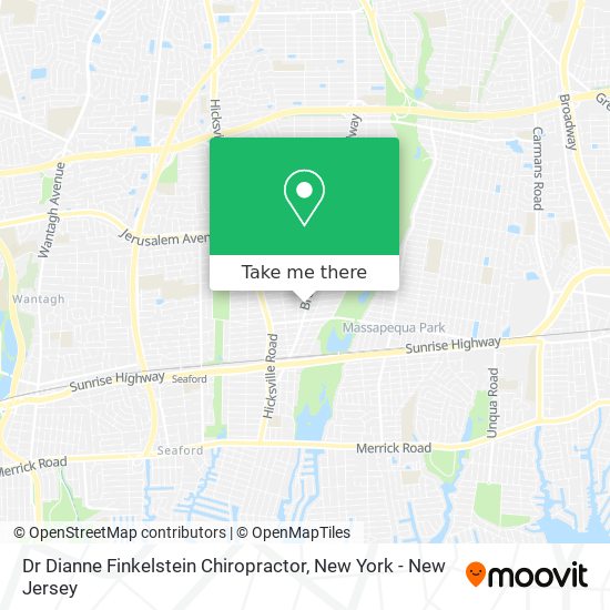 Mapa de Dr Dianne Finkelstein Chiropractor