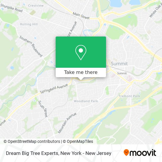 Dream Big Tree Experts map