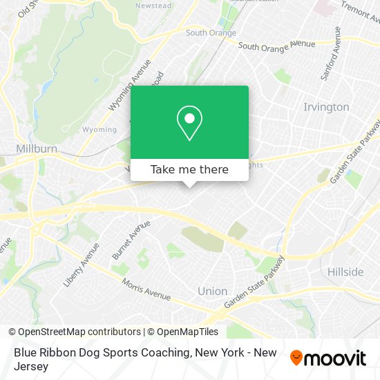 Blue Ribbon Dog Sports Coaching map