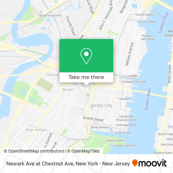 Mapa de Newark Ave at Chestnut Ave