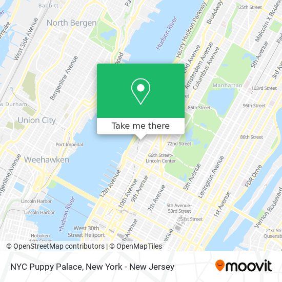 NYC Puppy Palace map