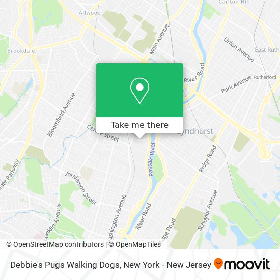 Debbie's Pugs Walking Dogs map