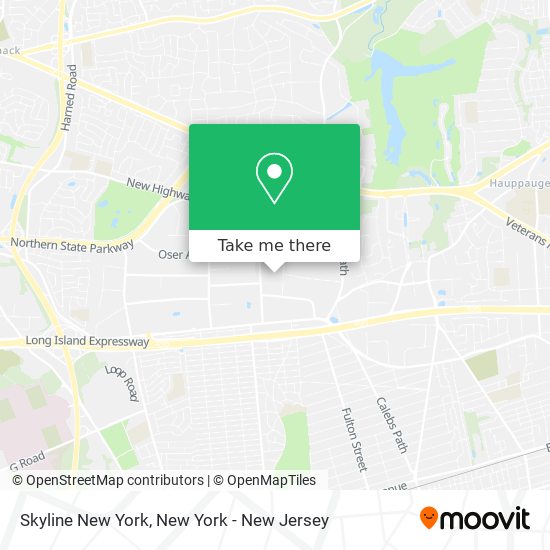 Skyline New York map