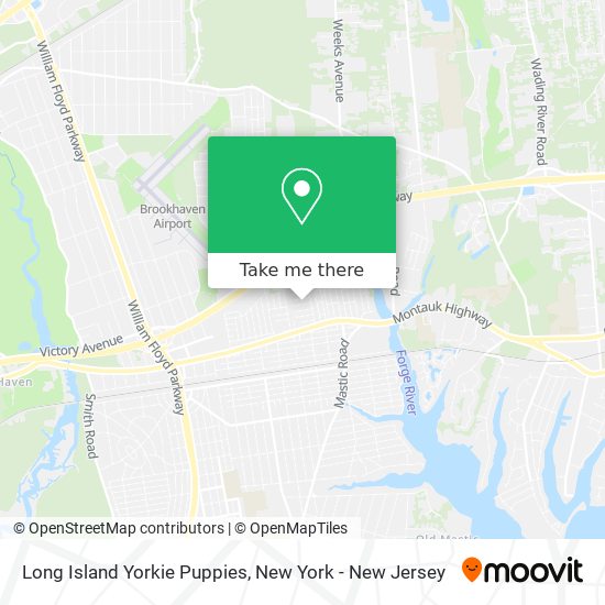 Long Island Yorkie Puppies map