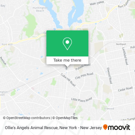 Mapa de Ollie's Angels Animal Rescue