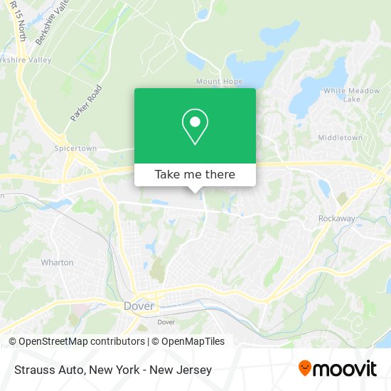 Strauss Auto map