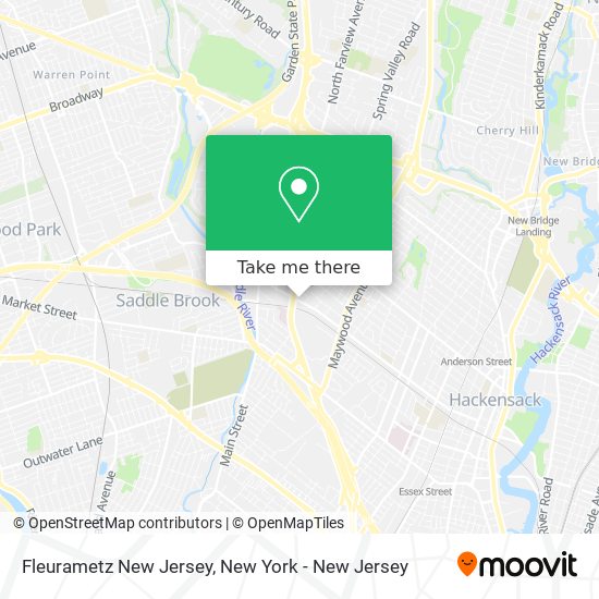 Fleurametz New Jersey map