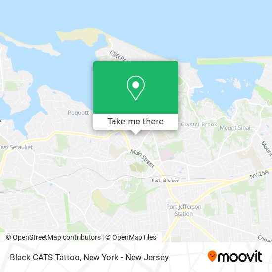 Black CATS Tattoo map