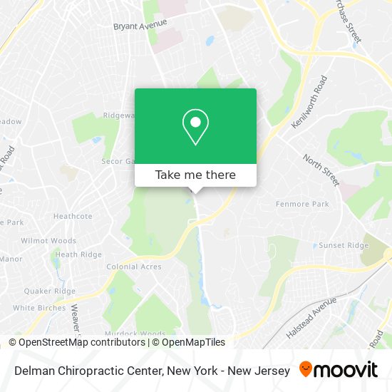 Delman Chiropractic Center map