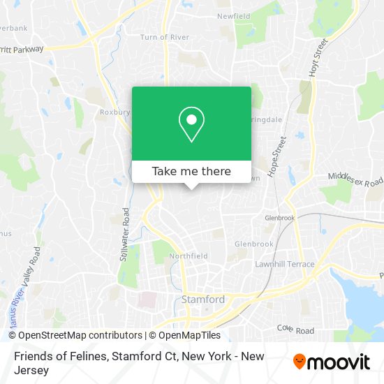 Mapa de Friends of Felines, Stamford Ct