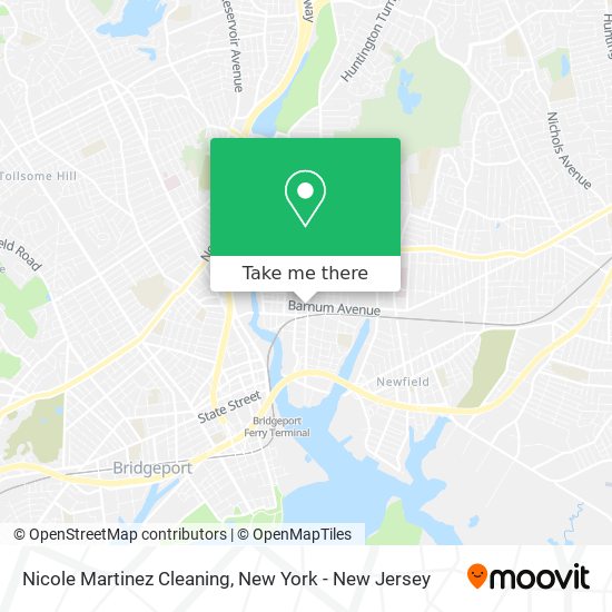 Mapa de Nicole Martinez Cleaning