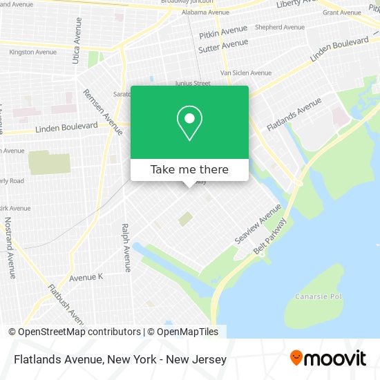 Flatlands Avenue map