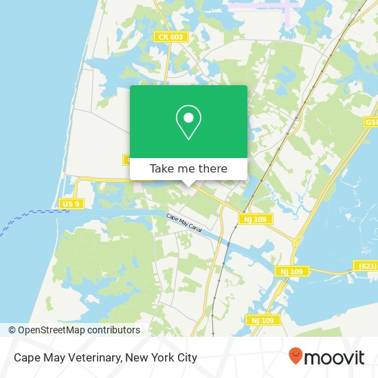 Cape May Veterinary map