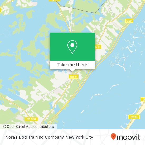 Mapa de Nora's Dog Training Company