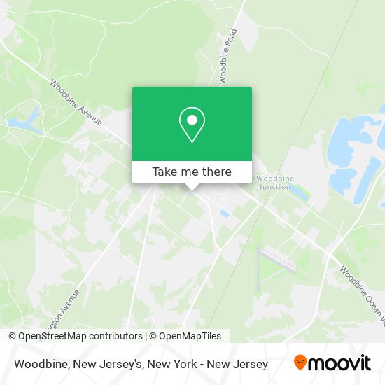 Woodbine, New Jersey's map