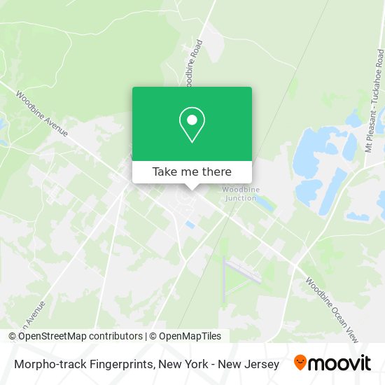 Mapa de Morpho-track Fingerprints