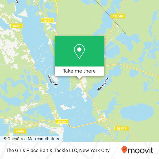 The Girls Place Bait & Tackle LLC map