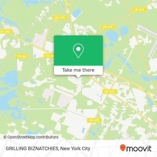 GRILLING BIZNATCHIES map