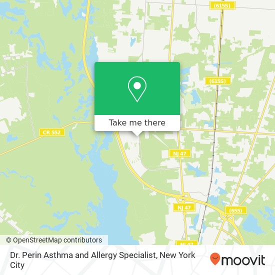 Dr. Perin Asthma and Allergy Specialist map