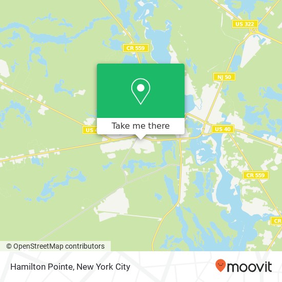 Mapa de Hamilton Pointe
