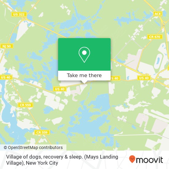 Village of dogs, recovery & sleep.  (Mays Landing Village) map