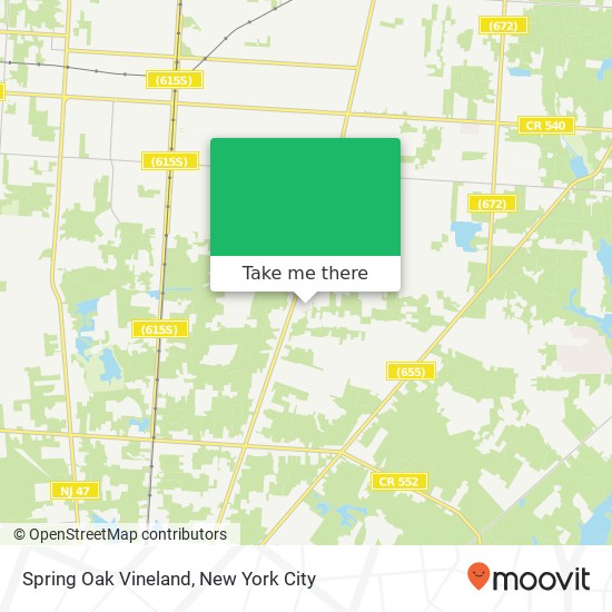 Spring Oak Vineland map