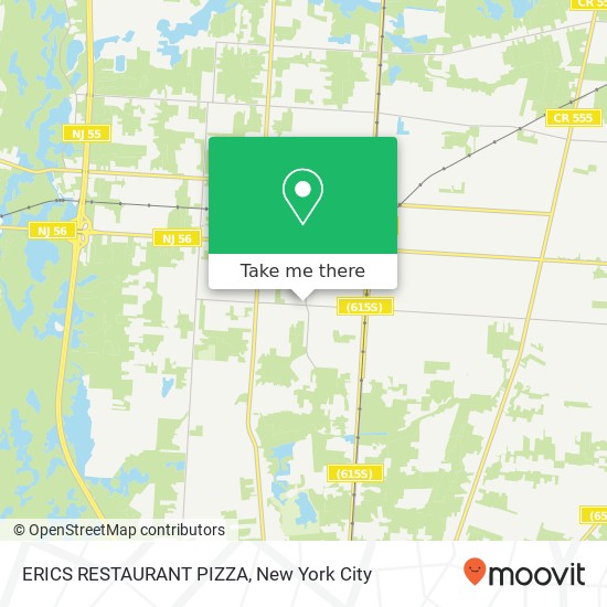 ERICS RESTAURANT PIZZA map