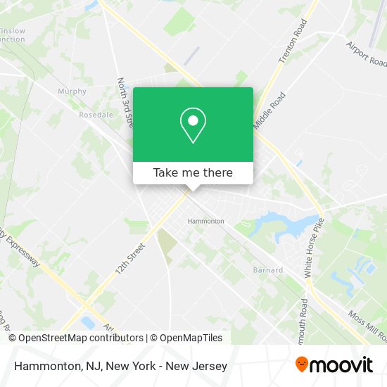 Hammonton, NJ map