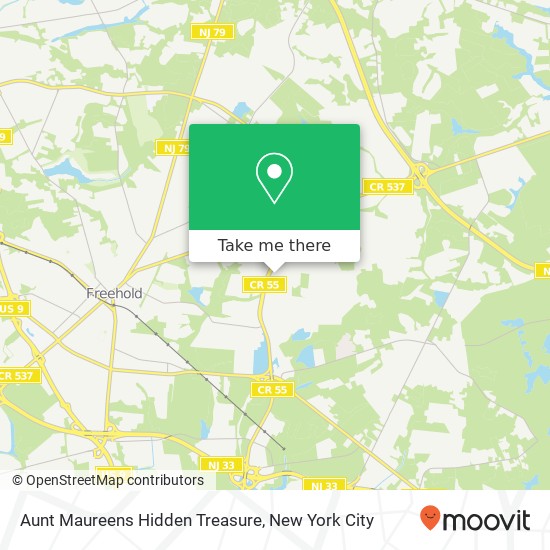 Mapa de Aunt Maureens Hidden Treasure