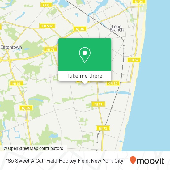 "So Sweet A Cat" Field Hockey Field map