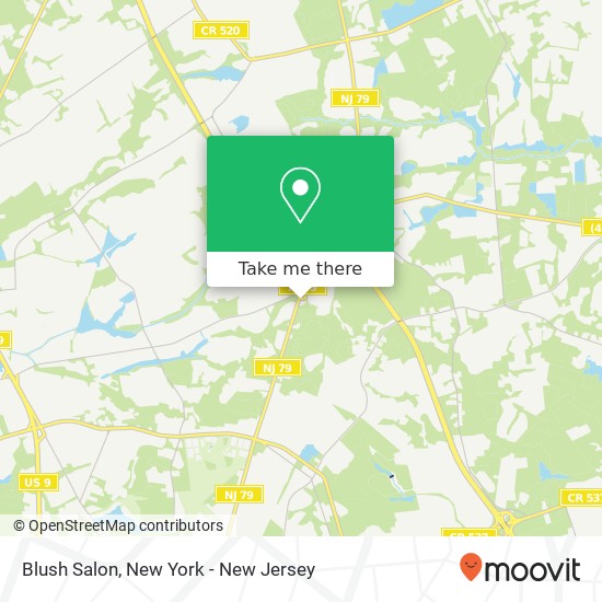 Blush Salon map