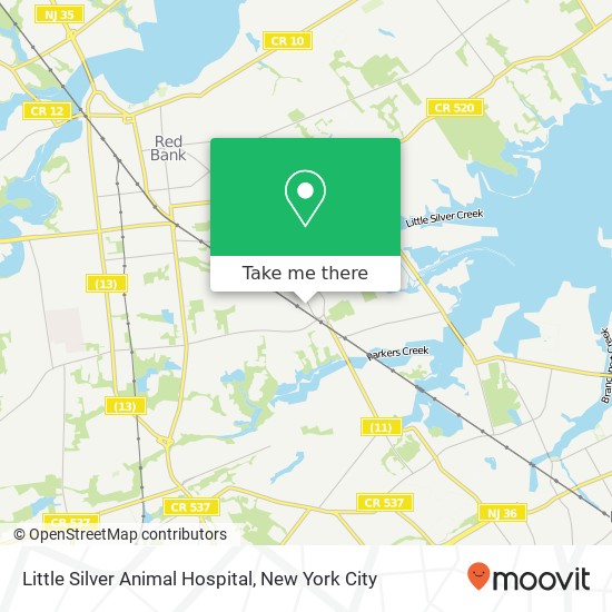 Little Silver Animal Hospital map