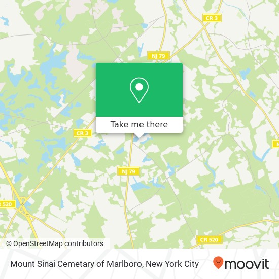 Mount Sinai Cemetary of Marlboro map