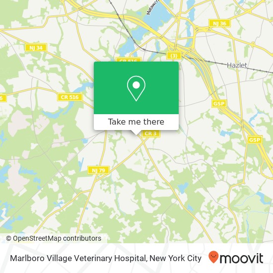 Mapa de Marlboro Village Veterinary Hospital