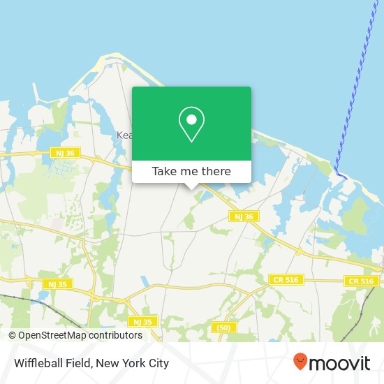 Wiffleball Field map