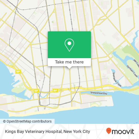 Kings Bay Veterinary Hospital map