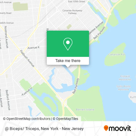 @ Biceps/ Triceps map