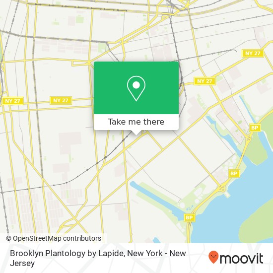 Brooklyn Plantology by Lapide map
