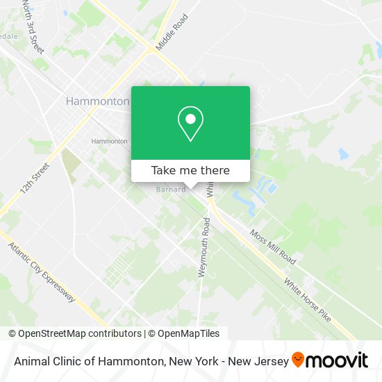 Animal Clinic of Hammonton map