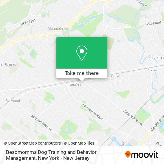 Besomomma Dog Training and Behavior Management map