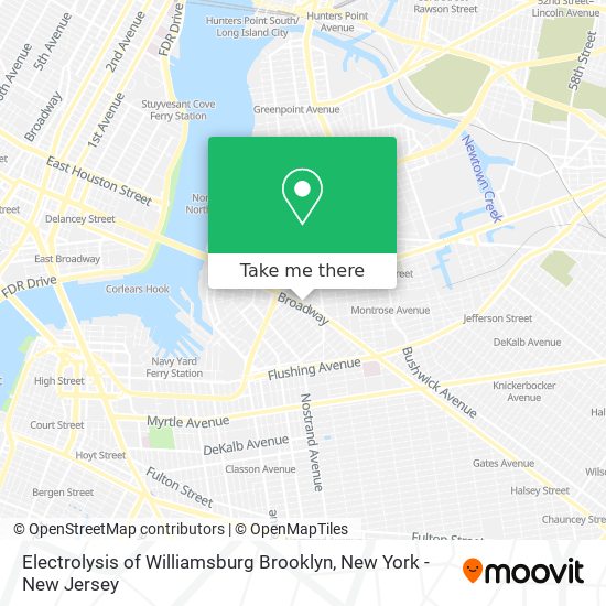 Electrolysis of Williamsburg Brooklyn map