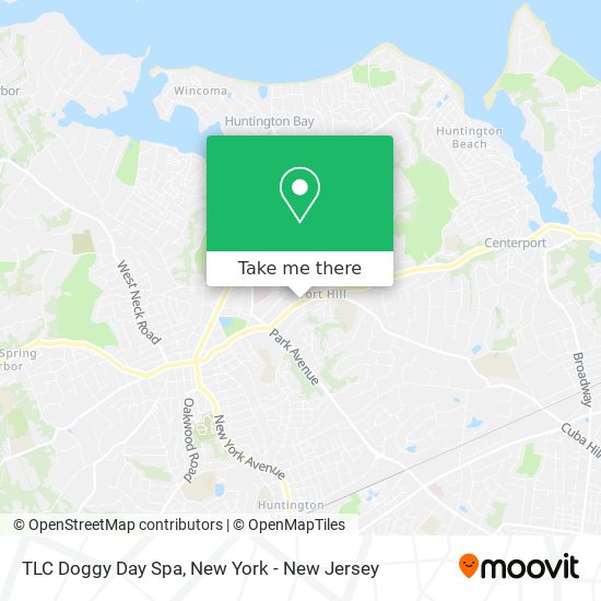 Mapa de TLC Doggy Day Spa