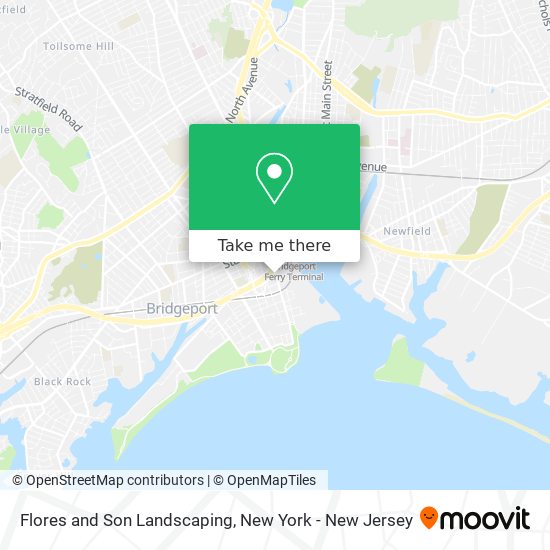 Flores and Son Landscaping map