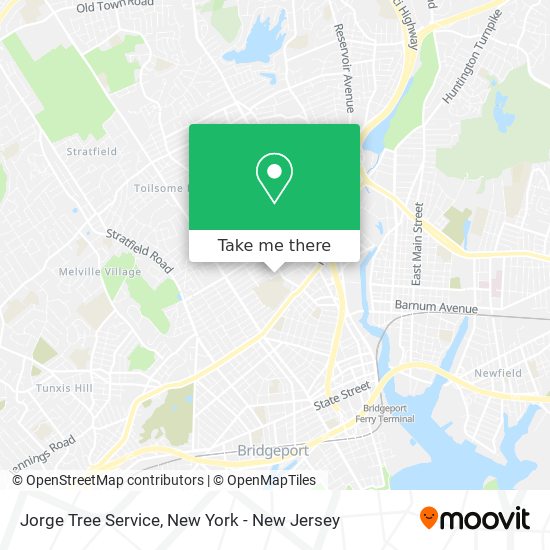 Jorge Tree Service map