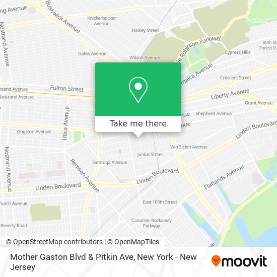 Mother Gaston Blvd & Pitkin Ave map